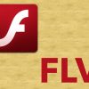 What is FLV?
